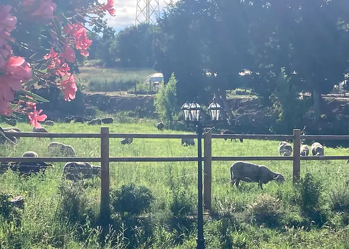Le Studio D Aurelie Avec Spa Ete En Pleine Campagne Et Proche De Toute Commodite