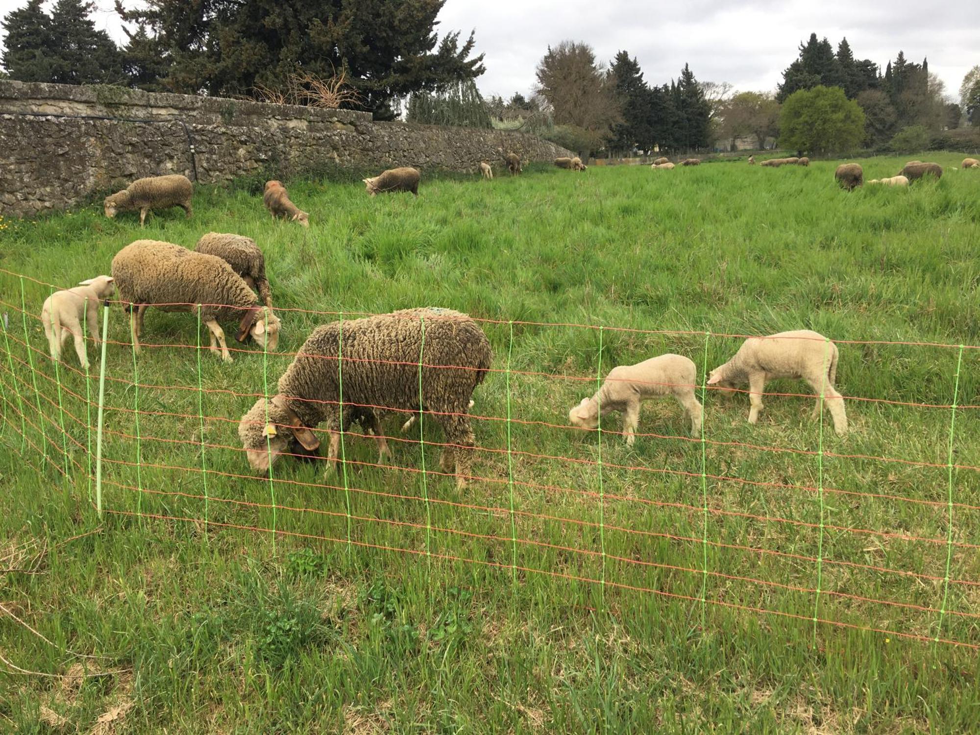 Le D Aurelie Avec Ete En Pleine Campagne Et Proche De Toute Commodite